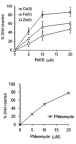 Figure 2. (A)φX174 RFI supercoiled DNA was incubated with PyED or PyBD in the absence or presence of M(II) for 1 h at 42 °C.