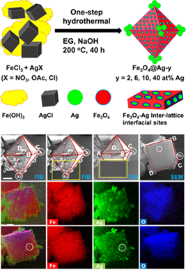 Figure 2. Methodology for hybrid nanocatalyst development.