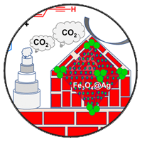 Hybrid Nanomaterials for Environmental and Chemical Catalysis